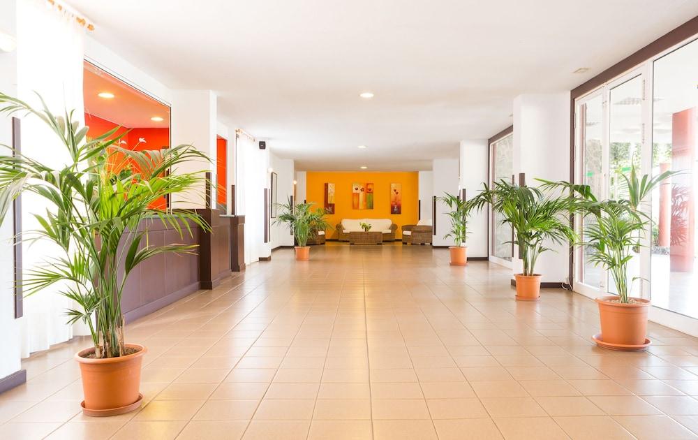 Apartamentos Centro Cancajos Лос-Канкахос Экстерьер фото